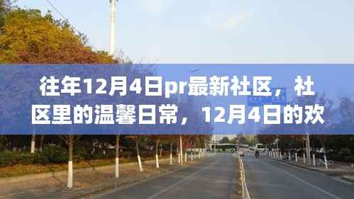 往年12月4日社区温馨日常与欢乐时光