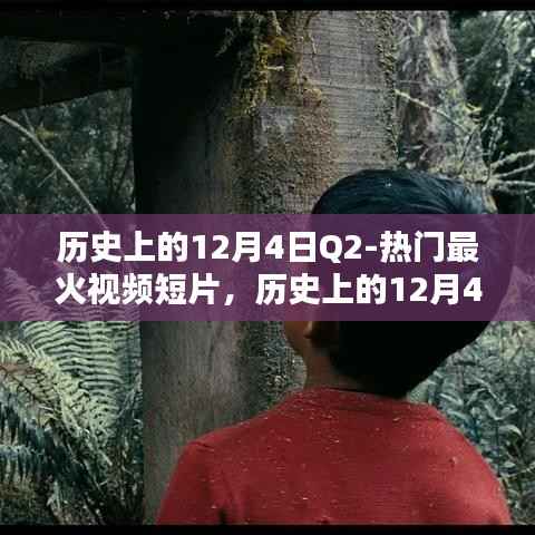 历史上的12月4日热门视频短片回顾与解析,热门最火短片一览