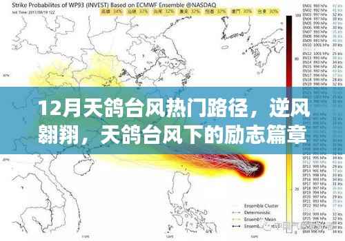 对答如流 第2页