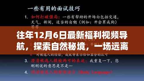 历年12月6日福利视频导航,探索自然秘境的心灵之旅