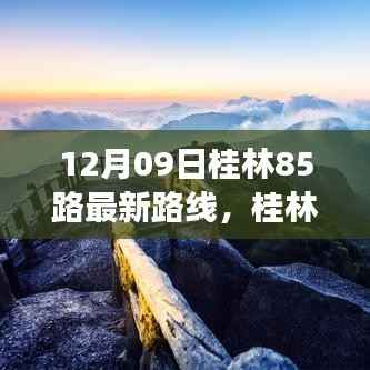 精品展示 第251页