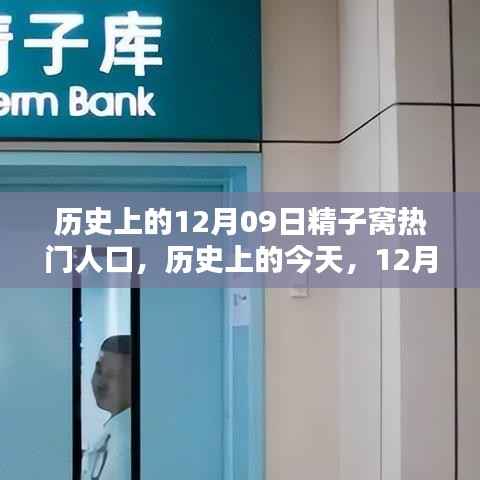 历史上的今天,精子窝孕育出热门人口之星,励志之光照亮学习之路的奇迹日(12月09日)