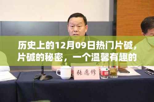 片碱的秘密,温馨有趣的日常故事回顾