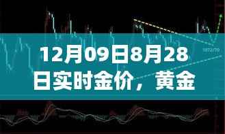 揭秘黄金市场风向标,今日金价波动背后的秘密解析