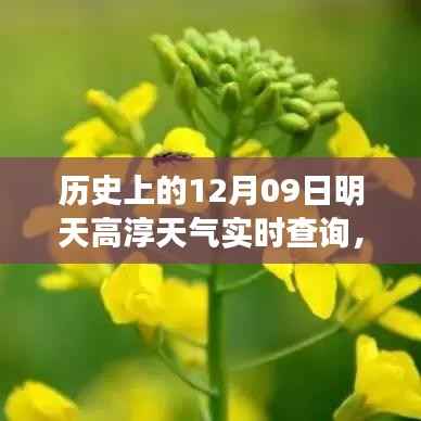 明日及历史日期高淳天气实时查询攻略,天气预报与全解析