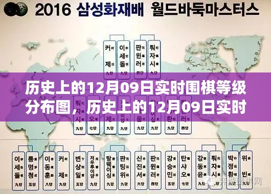 历史上的围棋等级分布图,揭秘12月09日的实时数据与产品评测