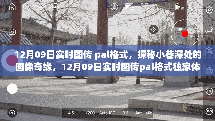 独家体验,探秘小巷深处的图像奇缘——12月09日实时图传PAL格式揭秘