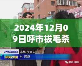 联系我们 第217页