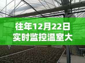 飞檐走壁 第2页