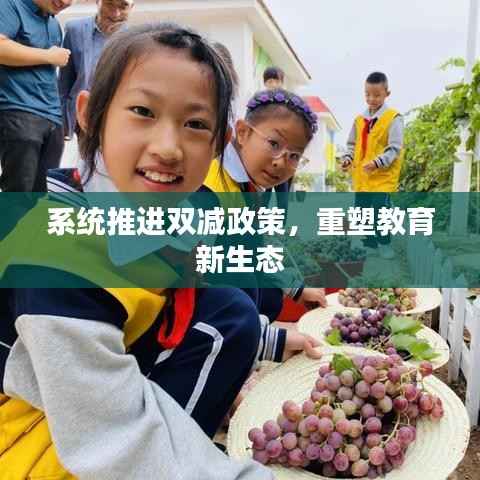 系统推进双减政策,重塑教育新生态