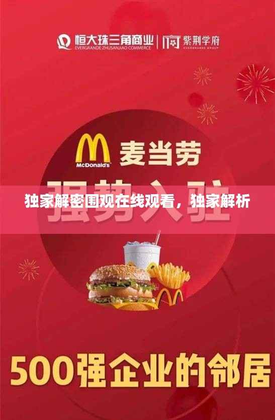 独家解密围观在线观看,独家解析
