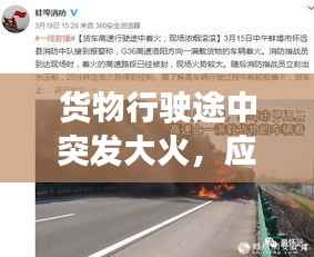 狗尾续貂 第2页