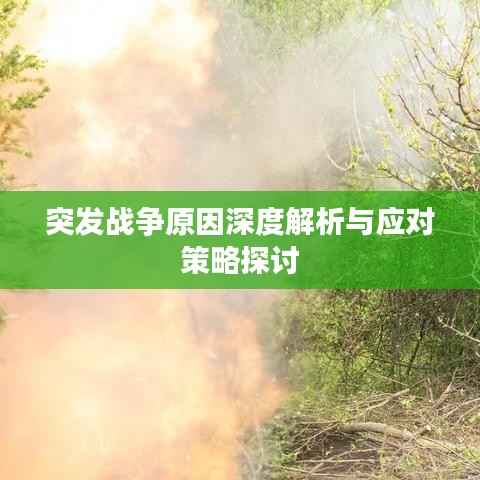 突发战争原因深度解析与应对策略探讨