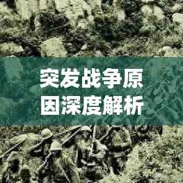 突发战争原因深度解析与应对策略探讨