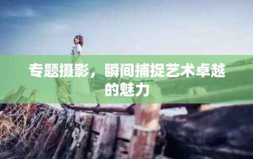 专题摄影,瞬间捕捉艺术卓越的魅力