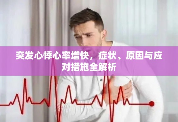 改弦易张 第2页