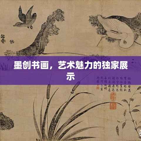 眼张失道 第2页