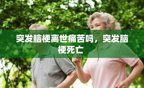 联系我们 第178页