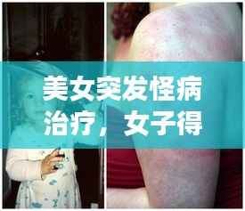 择善而从 第2页