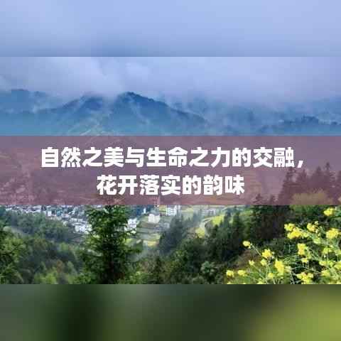 目不转睛 第2页