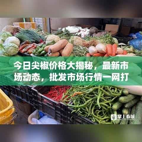 营销网络 第175页