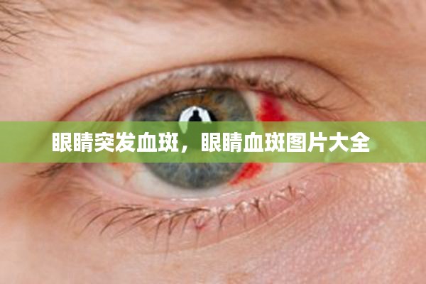 联系我们 第165页