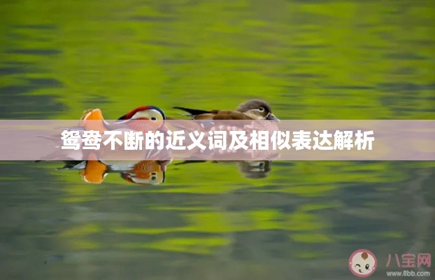 明夷于飞 第2页