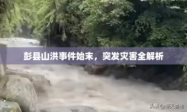 精品展示 第177页