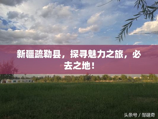 莺啼鸟啭 第2页