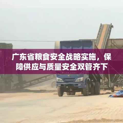 广东省粮食安全战略实施,保障供应与质量安全双管齐下