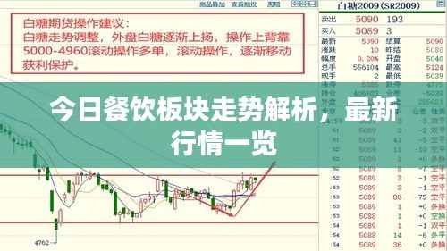 今日餐饮板块走势解析，最新行情一览