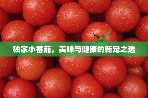 鸟飞兔走 第2页