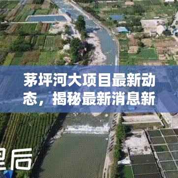 飞燕化龙 第2页