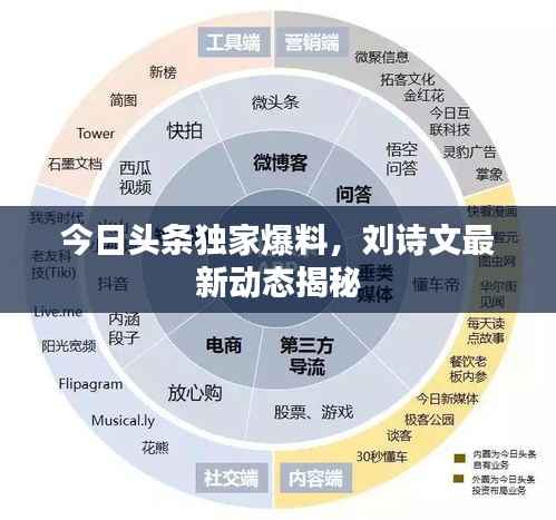 今日头条独家爆料,刘诗文最新动态揭秘