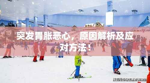 营销网络 第153页