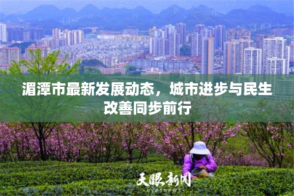 一石二鸟 第3页