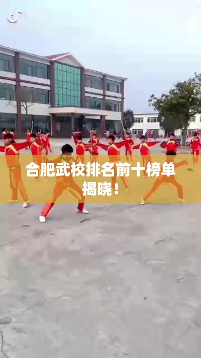 合肥武校排名前十榜单揭晓!