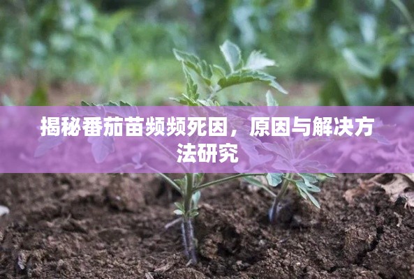 天生万物，唯人为贵 第2页