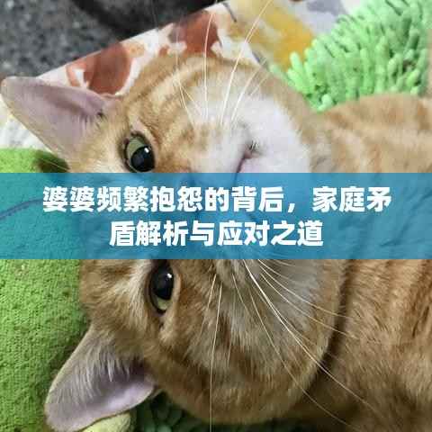 凌空飞起 第2页