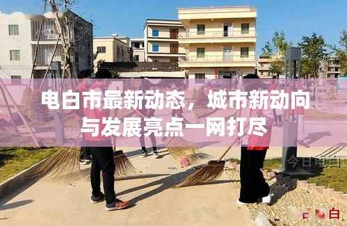 电白市最新动态,城市新动向与发展亮点一网打尽