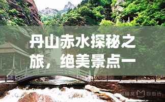 鸢飞鱼跃 第2页