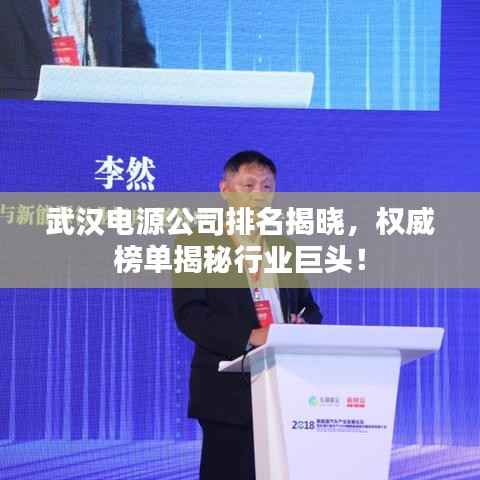 武汉电源公司排名揭晓,权威榜单揭秘行业巨头!