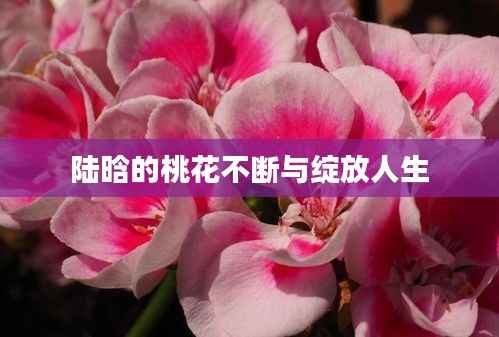 陆晗的桃花不断与绽放人生