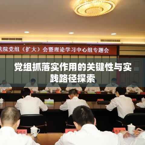 党组抓落实作用的关键性与实践路径探索