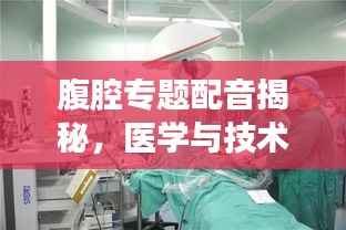 腹腔专题配音揭秘,医学与技术的完美融合之美