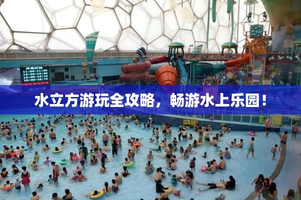 水立方游玩全攻略,畅游水上乐园!