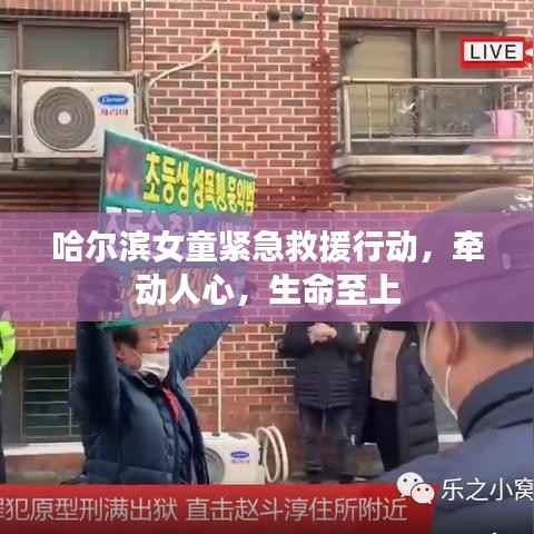 哈尔滨女童紧急救援行动,牵动人心,生命至上