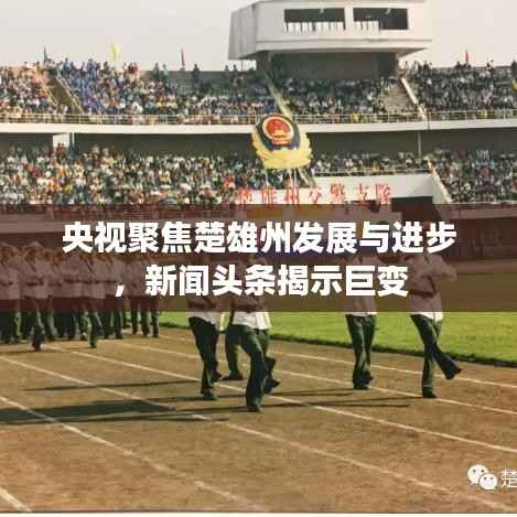 央视聚焦楚雄州发展与进步,新闻头条揭示巨变