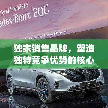 独家销售品牌,塑造独特竞争优势的核心驱动力