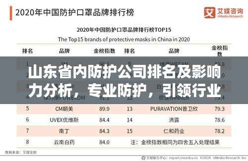 山东省内防护公司排名及影响力分析,专业防护,引领行业潮流